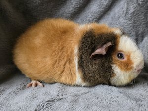 20260114_152149 20260114_152149