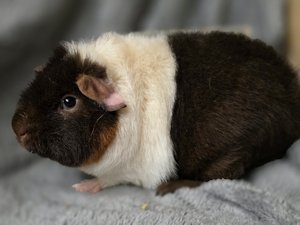 20260114_152350 20260114_152350