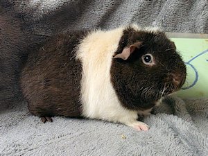 20260114_152449 20260114_152449