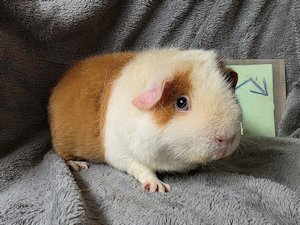 20260114_152700 20260114_152700