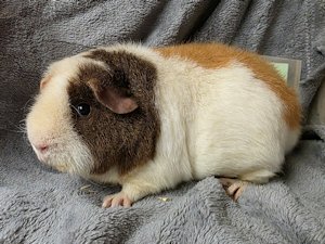 20260114_152718 20260114_152718