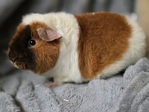 20260114_153851 20260114_153851