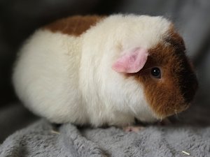 20260114_153915 20260114_153915