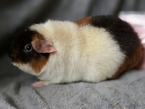 20260114_154033 20260114_154033