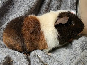 20260114_154119 20260114_154119