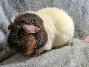 20260115_175801 20260115_175801