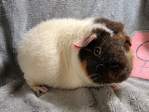 20260115_175830 20260115_175830