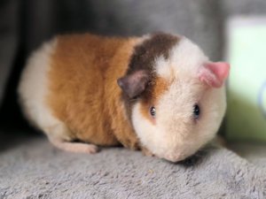 20260128_162803 20260128_162803