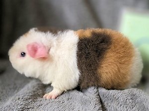 20260128_162820 20260128_162820