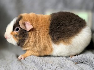 20260128_163026 20260128_163026