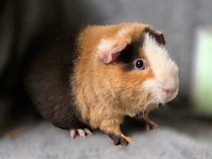 20260128_163048 20260128_163048